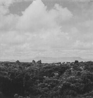 Pare-Gebirge : Blick über Wald und Steppe von Taveta in Richtung der Pare-Gebirges