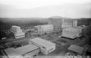 Bau des Atomreaktors bei Leopoldshafen.