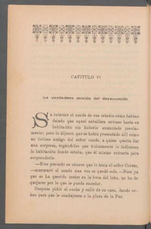 Capítulo VI - La verdadera misión del desconocido