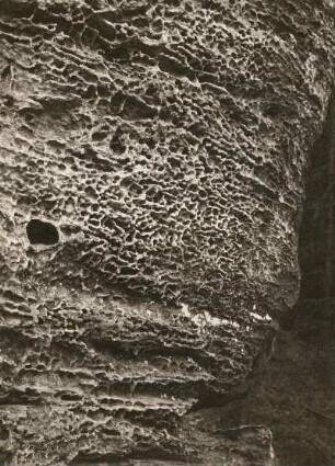 Schrammsteine : Elbsandsteingebirge. Schrammsteine. Wabenverwitterung im Sandstein