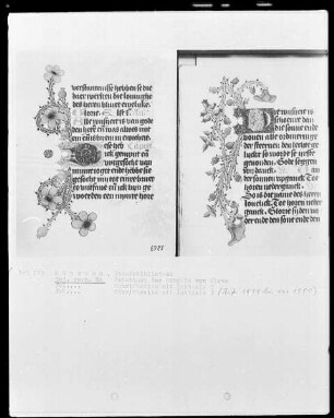 Gebetbuch der Prinzessin Sibylla von Kleve — Initiale D mit anschließender Ranke