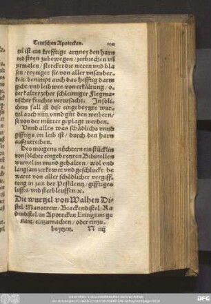 Die wurtzel von Walhen Distel/ Manstrew/ Brackendistel/ Radendistel/ in Apotecken Eringium genant/ einzumachen/ oder einzubeytzen.