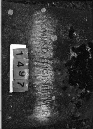 Grabstein 1497 [Hahn S. 66 Grab-Nr. 2111]: Grabstein 1497 (Detailaufnahme) [Hahn S. 66 Grab-Nr. 2111]