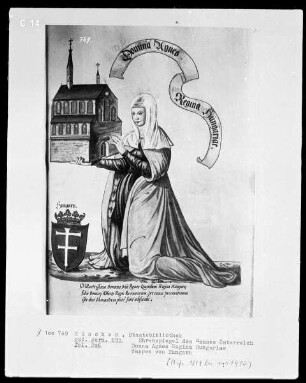 Ehrenspiegel des Hauses Österreich — Donna Agnes Regina Hungariae, mit Wappen von Ungarn, Folio 206recto
