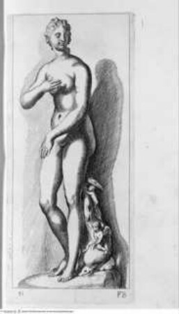 Segmenta nobilium signorum e[t] statuaru[m], quae temporis dentem invidium evasere, urbis aeternae ruinis erepta typis aeneis ab ce commissa perpetuae venerationis monumentum. (Romae) 1638 (1653)Tafel 81: Venus Aphrodotis - Illmo. D. D. Rogerio Duplesseis Dño. de Liancourt Marchioni de Montfort, comiti de la Rocheguion E.a. ... [Icones et] segmenta nobilium signorum et statuarum quae temporis dentem invidium evasere urbis aeternae ruinis erepta typis aeneis ab ce comissa perpetuae venerationis monumentum