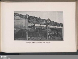 Gestell zum Trocknen der Fische