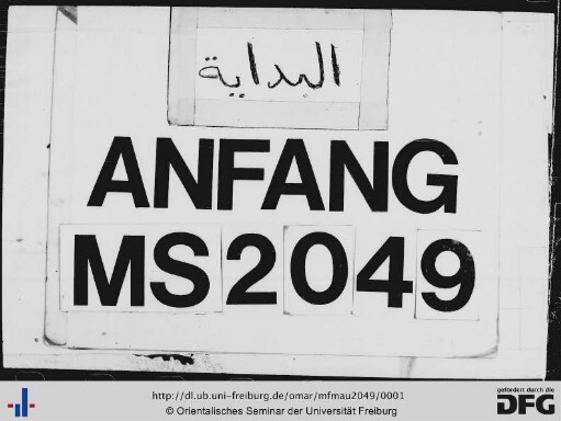 MF Mau 2049