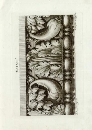 Tab. LVII.