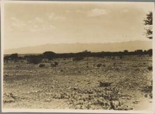 Blick nach Westen über Puna und Cordillera de Liqui