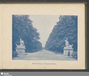 Haupt-Allee im Grossen Garten