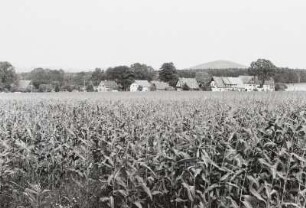 Ortsteilansicht. Blick von Oberdörfel