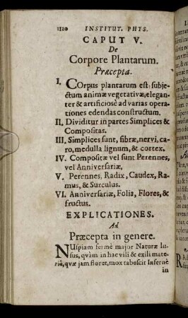 Caput V. De Corpore Plantarum.