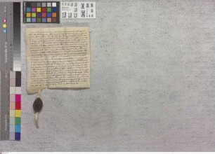 Hainer Hof: Testimonium Cantoris ecclesiae Stae. Mariae ad Gradus quod universitas villae Leeheim amm ? et ........ Abbati et Conventui monasterii...