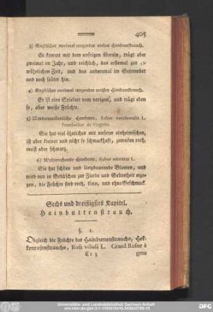 Sechs und dreißigstes Kapitel. Hainbuttenstrauch.