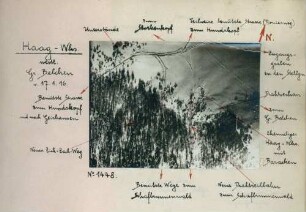 Foto vom Haag-Wirtshaus westlich des Großen Belchens (Luftbild)