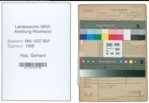 Entnazifizierung Gerhard Holz , geb. 13.04.1903 (Ingenieur)