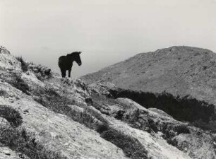 Begegnung im Bergland der Insel Patmos