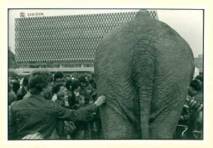 Alexanderplatz, Elefant vor dem centrum Warenhaus