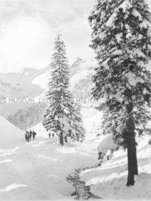 Landschaft bei Zakopane in der DDR-Wintertourismusregion Hohe Tatra (Karpaten) in Polen