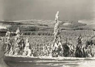 Schellerhau. Erzgebirge. Blick vom Kahleberg auf Schellerhau mit der Stephanshöhe