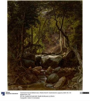 Waldschlucht. Quebrada de Laguaira