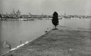 Mainz, Stadtansicht : Mainz. Blick von der Maaraue über den Rhein gegen die Altstadt mit Dom nach Nordosten