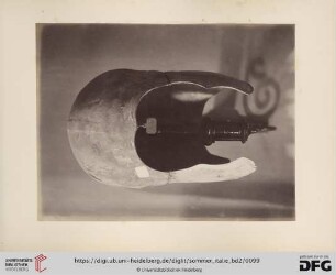 [Helm]