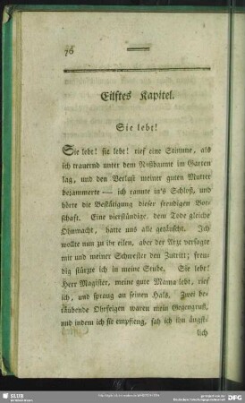Eilftes Kapitel. Sie lebt!