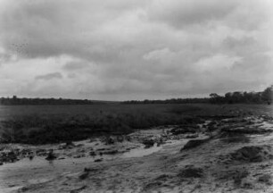 Landschaftsblick : Blick in eine flache Landschaft. Im Vordergrund sandiger Untergrund, dahinter Grasflächen, im Hintergrund Wald.