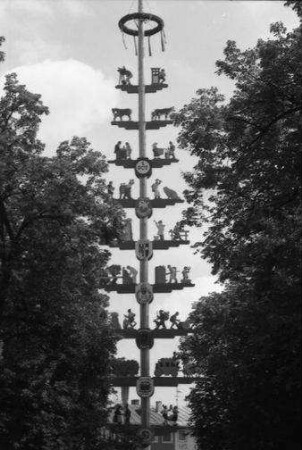 Traunstein: Maibaum auf dem Stadtplatz