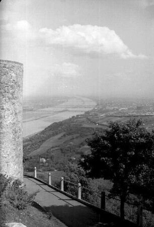 Wien: Blick über die Donau vom Kahlenberg, Blick vom Leopoldsberg, Vordergrund Weg