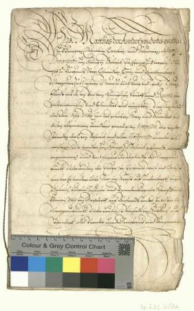 König Matthias II. bestätigt die Landesprivilegien des Markgraftums Niederlausitz.