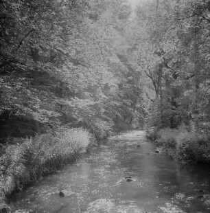 Seifersdorfer Tal