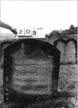 Grabstein 209