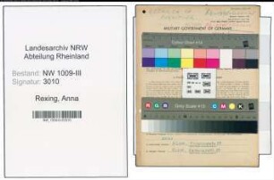 Entnazifizierung Anna Rexing , geb. 09.01.1890 (Geschaeftsinhaber)