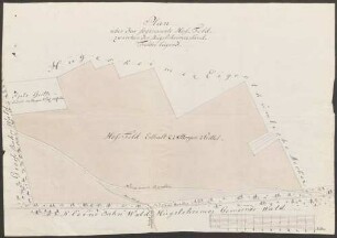 Plan über das sogenannte Hof-Feld, zwischen den Hügelsheimer Sand-Felder liegend