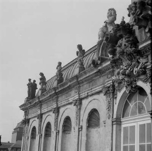 Putten : Dresden-Altstadt. Zwinger. Putten (wohl um 1715; Werkstatt Balthasar Permoser)