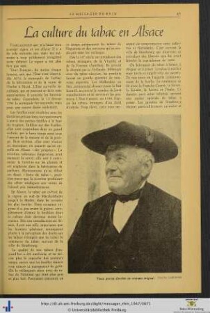 La culture du tabac en Alsace.