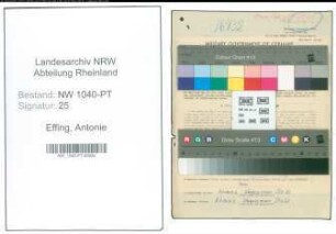 Entnazifizierung Antonie Effing , geb. 22.03.1913 (Postassistentin)