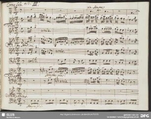 Aria: La tortora innocente