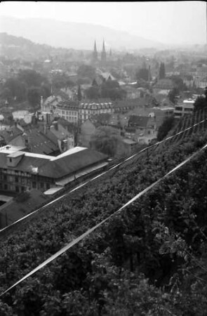 Freiburg: Stiftungsverwaltung; vom Schlossberg durch Reben, auf Stadtteil Wiehre