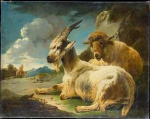 Ziegenbock und Schaf in felsiger Landschaft