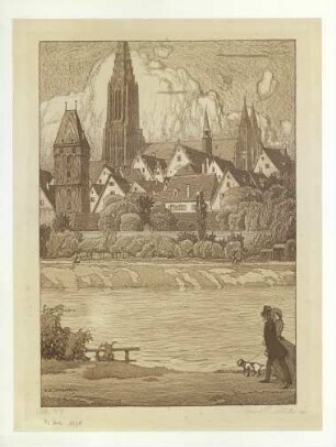 Ulm von Süden Teilansicht Donaufront 1911