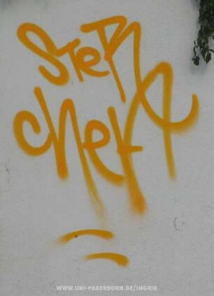 STeR cheF