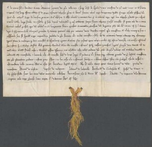 König Heinrich (VII.) nimmt das Kloster Tennenbach mit dessen hörigen Leuten und Besitzungen in seinen besondern Schutz, und bestätigt demselben namentlich den Hof Mundingen