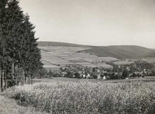 Vogtland. Erlbach östlich Markneukirchen. Blick von Südwest