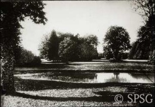 Branitz, Park.