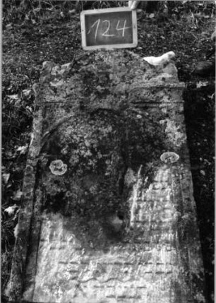 Grabstein 124 (Index: 100090312) Material: Sandstein Zustand: abgeblätt. /verwitt. m. fast völl. Textverl. Maße HxBxT: 100x61x13 cm Beschreibung: Stele, eingezogener Segmentbogenabschluß mit Eckakroteren, Schriftfeld eingetieft: Grabstein 124