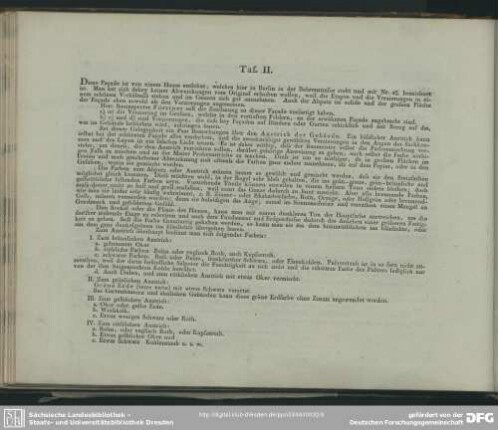 Taf. II