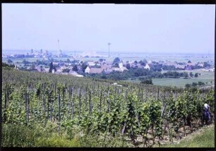 Seefelden: Weinberge, Hintergrund Kaliwerk Buggingen